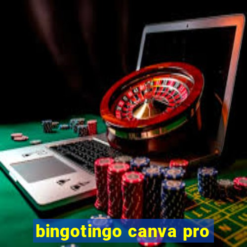 bingotingo canva pro